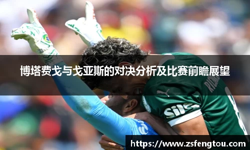 博塔费戈与戈亚斯的对决分析及比赛前瞻展望